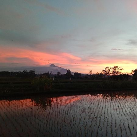 Rumah Ukhi Guest House Cebongan ภายนอก รูปภาพ